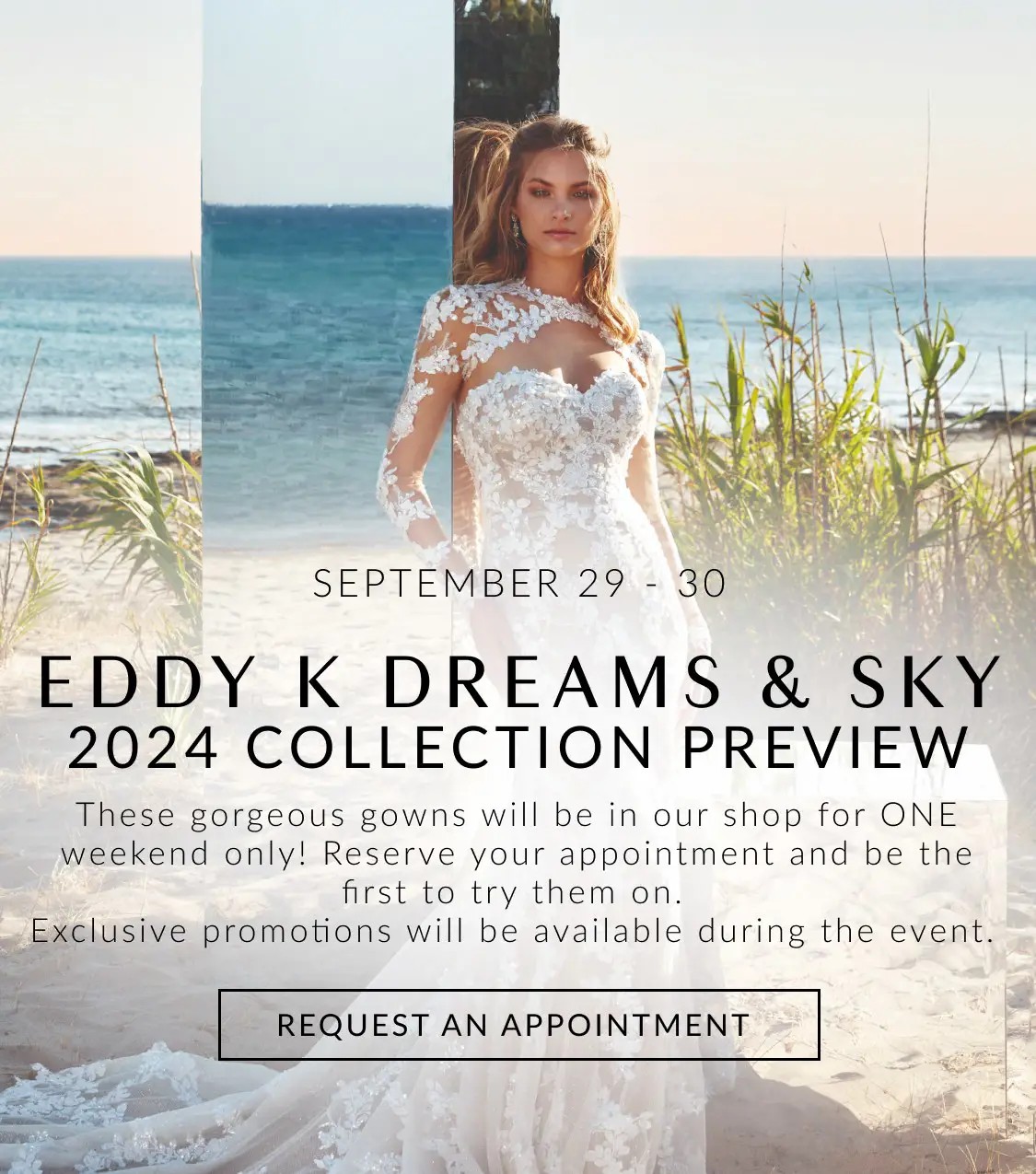 Eddy K Dreams and Sky Trunk Show at Allure Bridal Boutique